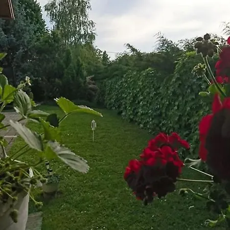 Privatunterkunft Liliana Vendeghaz Balatonfůzfő