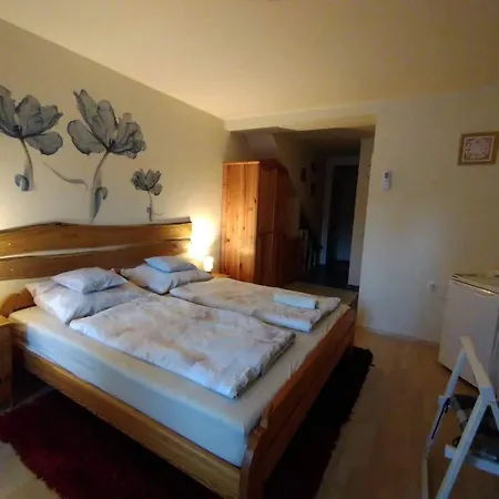 Liliana Vendeghaz Balatonfůzfő